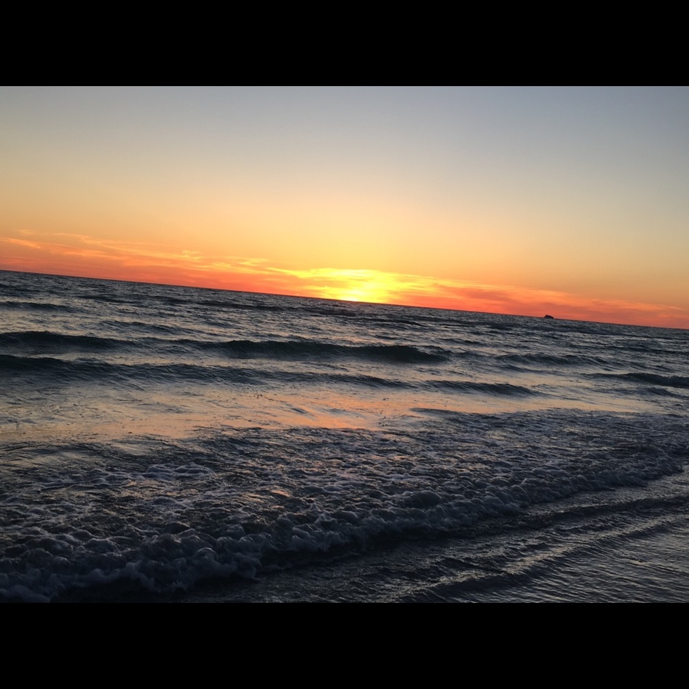 Meet your Posher, Mia